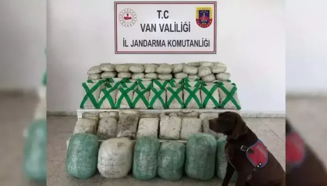 Van ve Hakkari'de uyuşturucu operasyonu; 15 gözaltı