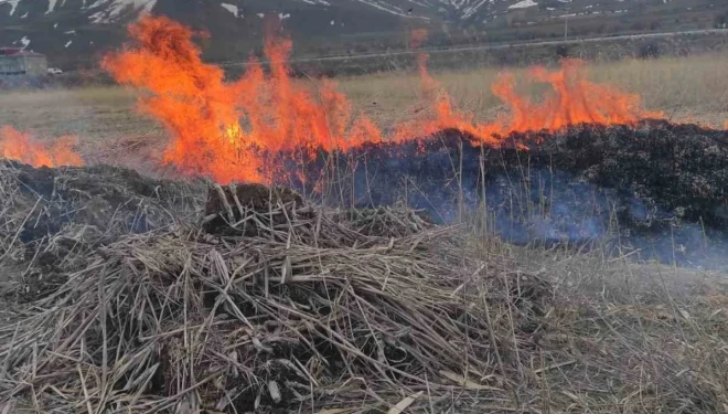 Van’ın Gevaş ilçesinde anız yangını