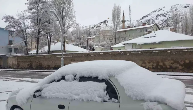 Başkale’de nisan ayında kar yağışı