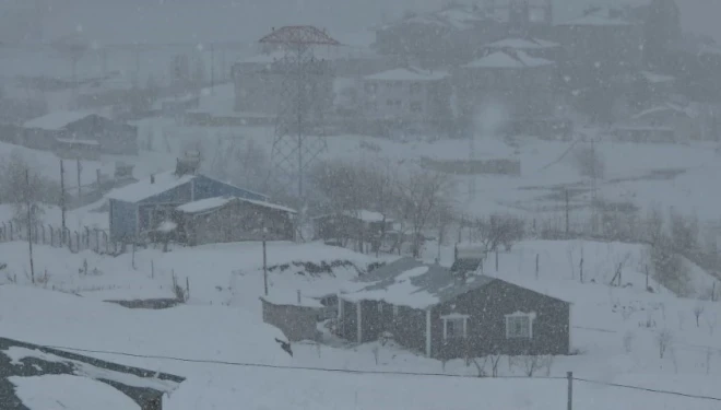 Van’da nisan sürprizi: Lapa lapa kar yağdı
