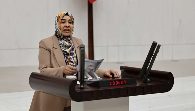 Vanlı gençlere saldırı meclis gündemine taşındı