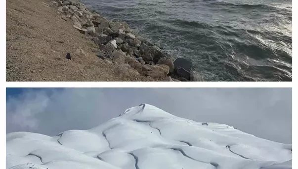 Van YYÜ Su Ürünleri Fakültesi Dr. Öğretim Üyesi Mustafa Akkuş: "Bu yıl yüzleri güldürecek bir tablo mevcut"