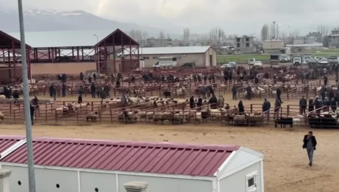Van'da hayvan pazarında Kurban Bayramı öncesi durgunluk yaşanıyor
