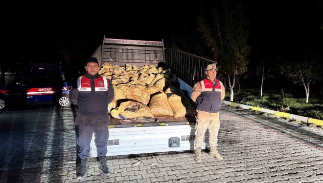 Van’da kaçak avlanan 800 kilo balık ele geçirildi