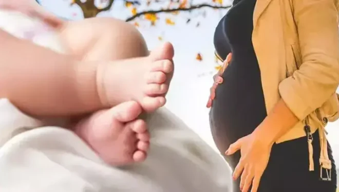 Türkiye'nin doğurganlık hızı geriledi