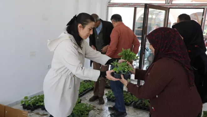 Tuşba Belediyesi’nden sebze fidesi desteği 