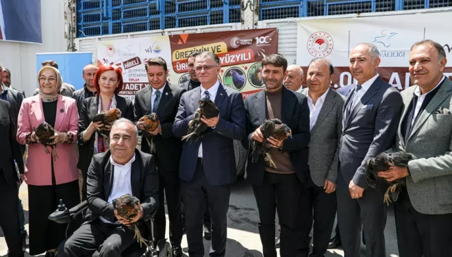 Van'da üreticilere 23 bin adet Yarka cinsi tavuk dağıtıldı
