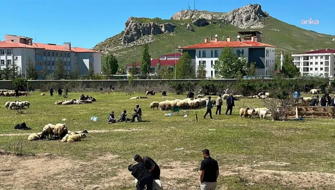 Van'da besiciler bayramda zarar ettiklerini dile getirdi