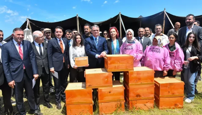 Van'da 150 aileye 3 bin arılı kovan desteği