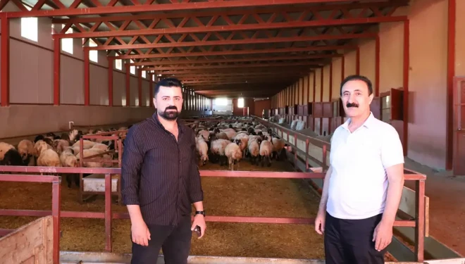 Nayif Süer: En büyük sorun pazar