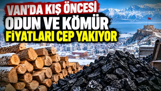 Van’da kış öncesi odun ve kömür fiyatları cep yakıyor