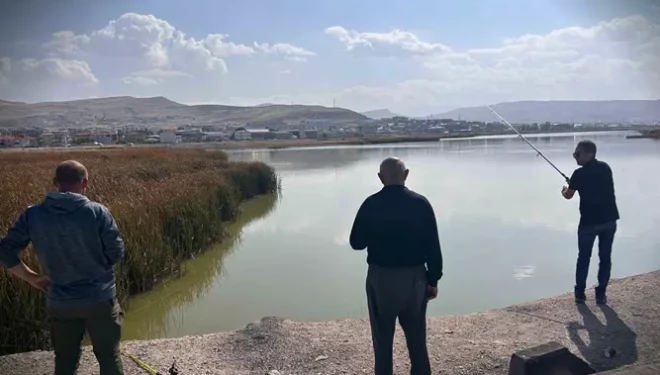 Van’da amatör balıkçıların aynalı sazan mesaisi