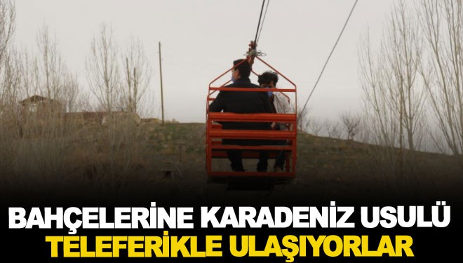 Bahçelerine Karadeniz usulü teleferikle ulaşıyorlar