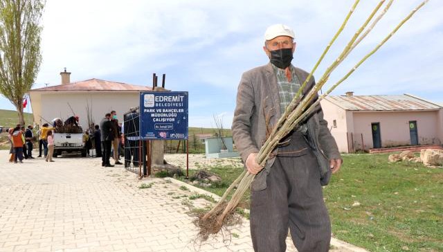 Edremit'te üreticilere ceviz fidanı dağıtımı