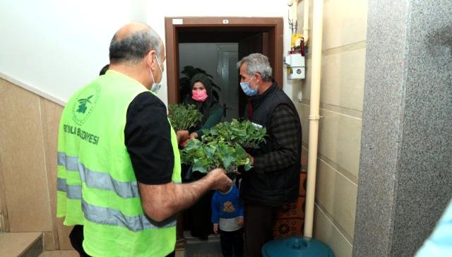 İpekyolu Belediyesi balkonları bahçeye çeviriyor