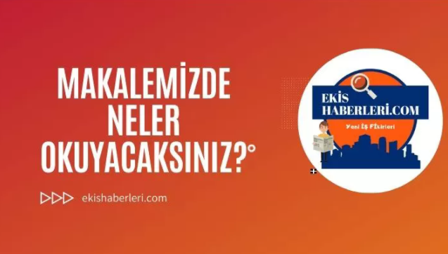 İnovasyon Nedir? İlgi Çeken İnovasyon Örnekleri Hangileridir?