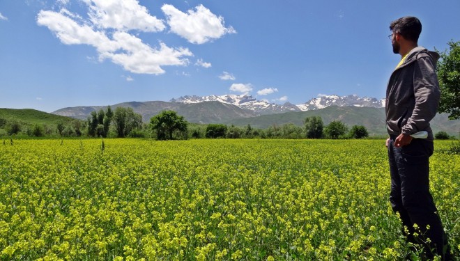 İsviçreli turist Yüksekova dağlarına hayran kaldı