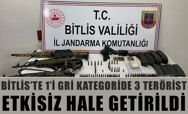 Bitlis'te 1'i gri kategoride 3 terörist etkisiz hale