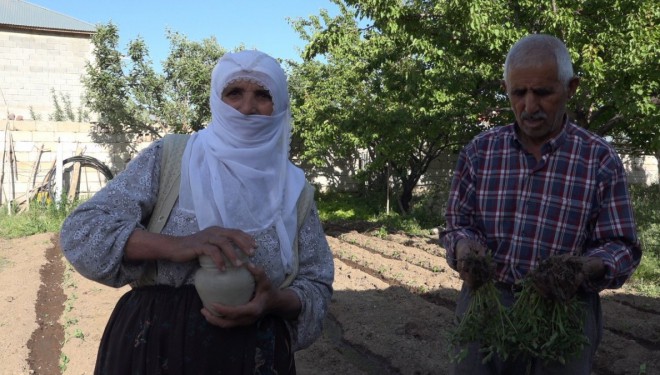 Domatese adanan bir ömür