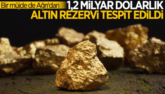 Ağrı'da 1.2 milyar dolarlık altın, 2.8 milyon dolarlık gümüş rezervi bulundu