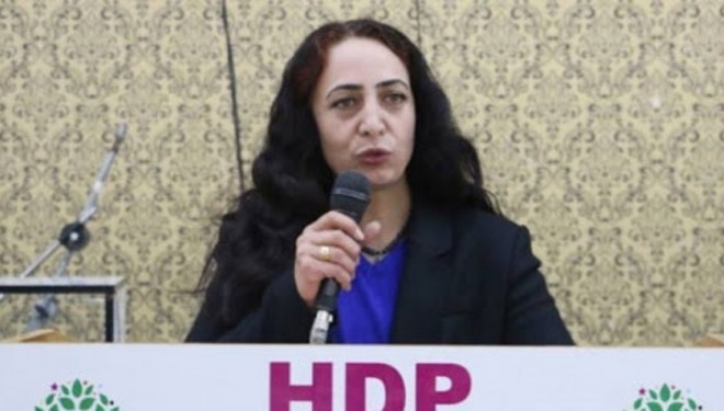 HDP'li Orhan "Van Gölü"nü meclise taşıdı