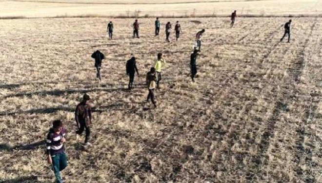 Alman vekiller Afganlı göçmenler için Van'a geliyor