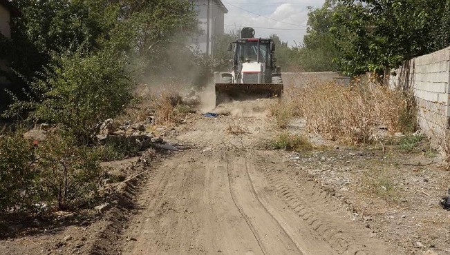 Ağaçta mahsur kalan kedi kurtarıldı