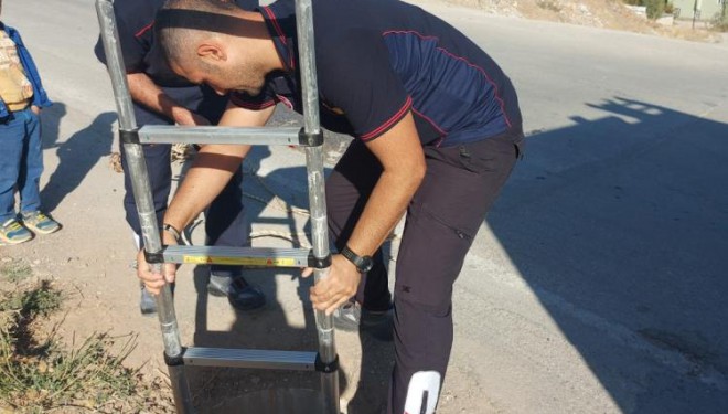 Yağmur suyu tahliye kuyusuna düşen kuzu kurtarıldı