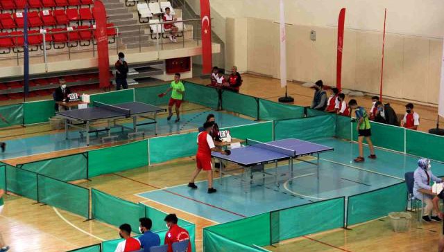 Gençler Masa Tenisi Takım Yarışmaları Erzincan'da başladı