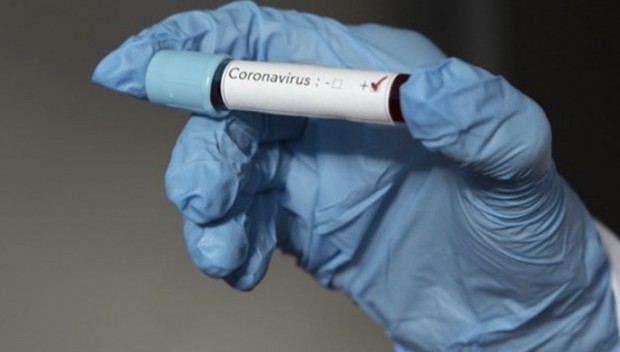 Koronavirüsten 223 kişi hayatını kaybetti