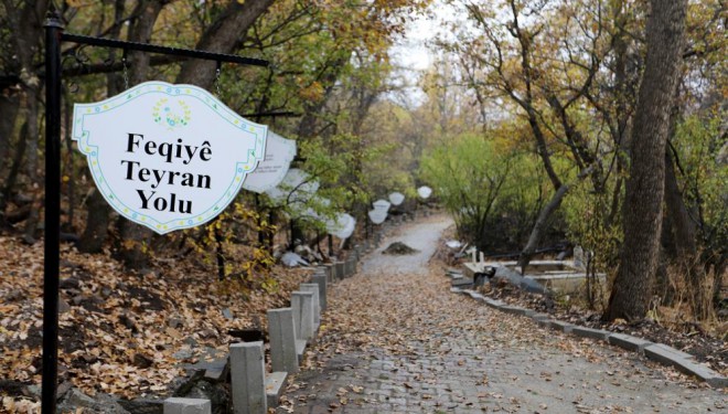 Feqiye Teyran Türbesi’nin çevresi onarıldı