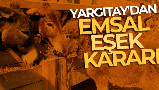 Yargıtay'dan emsal eşek kararı!