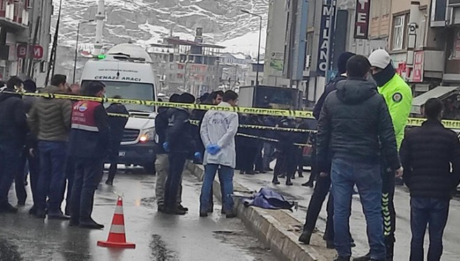 Van'da otomobilde ve aracın yakınında 2 ceset bulundu; 1 kişi gözaltında