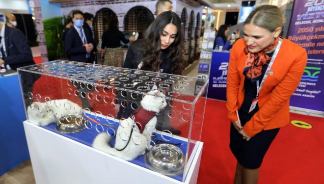 Van, EMITT Fuarı'ndaki yerini aldı