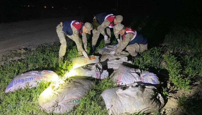 Muradiye’de kaçak avlanmış 6,5 ton balık ele geçirildi