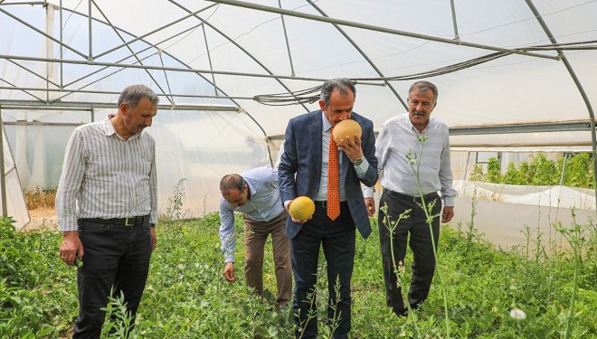 Gürpınar Belediyesi Seralarında Hasat Başladı