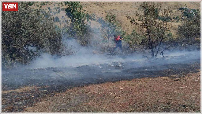 Bahçesaray'da mera alanında yangın