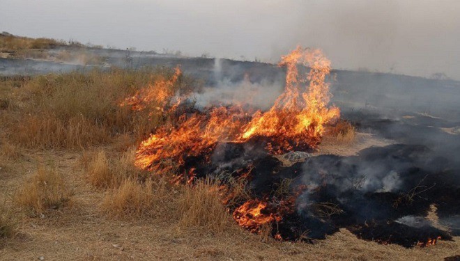 Adır Adası'ndaki yangın bugün tekrar başladı!