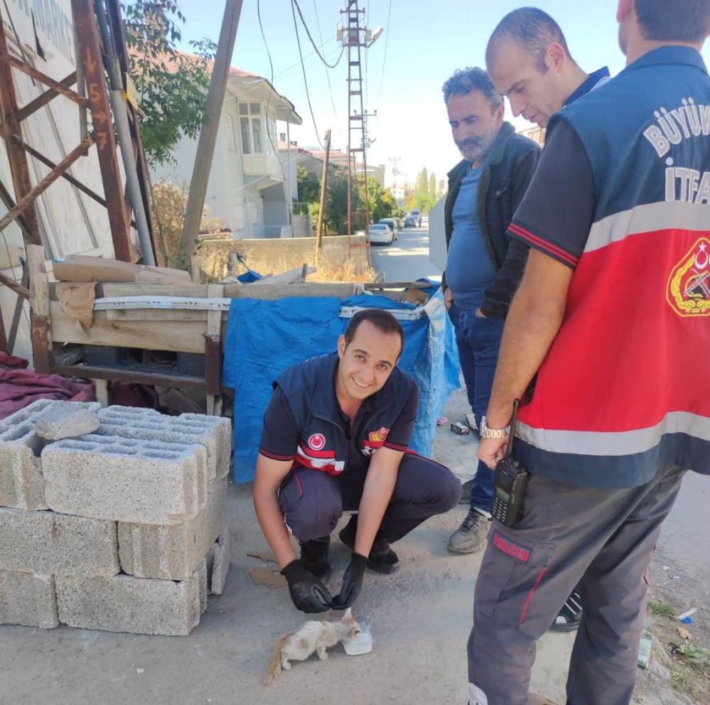 Mazgala düşen yavru kedi kurtarıldı