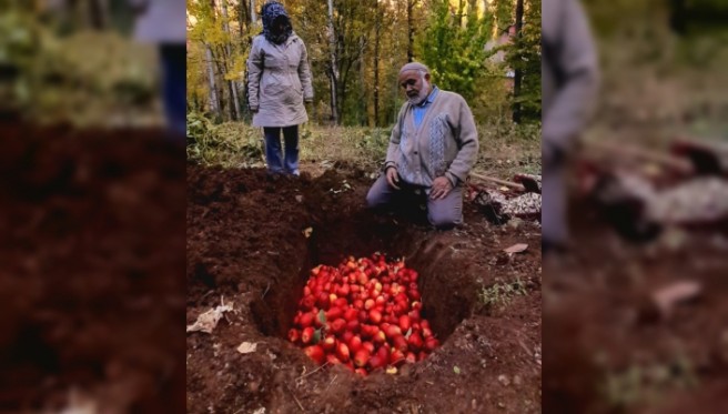 Van’da toprağın altındaki saklı elmalar