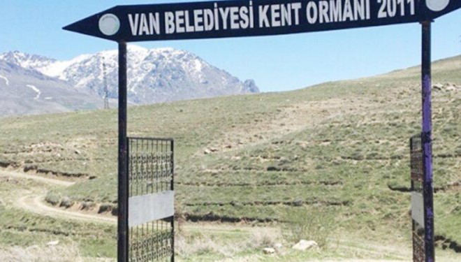 Tabelası var, ormanı yok: Van