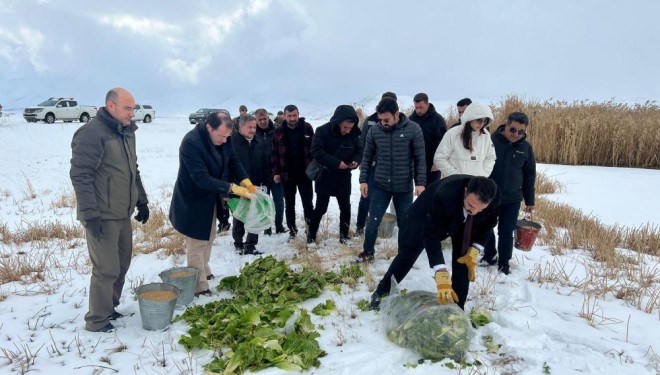 Çaldıran’da yaban hayvanları için yemleme çalışması yapıldı