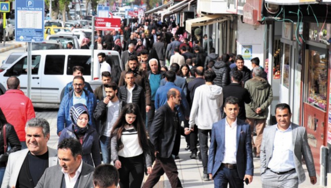 Başka illerde yaşayan Vanlı sayısı kaç?