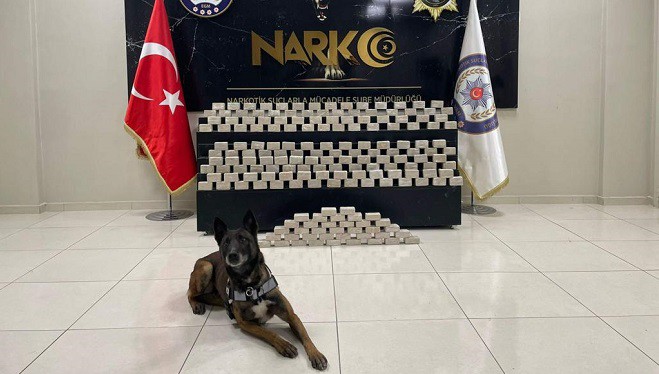 Van'da narkotik köpeği Magnum, 46 kilo 500 gram eroin buldu