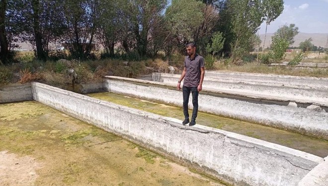 Van'ın Gürpınar ilçesi'nde binlerce balık öldü!