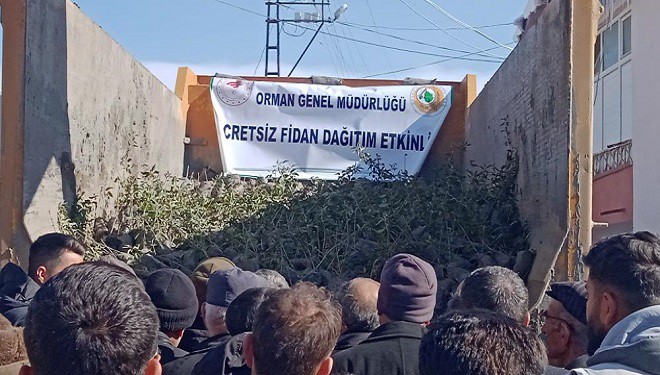 Özalp’te 10 bin ceviz ve badem fidesi dağıtıldı