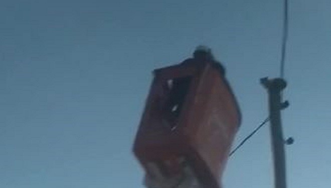 Elektrik direğinde mahsur kalan kedi kurtarıldı