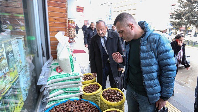 Van’da ‘Çin kestanesi’ denetimi