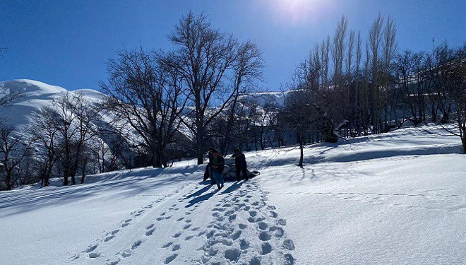 Bahçesaray'da besicilerin zorlu kış mesaisi sürüyor