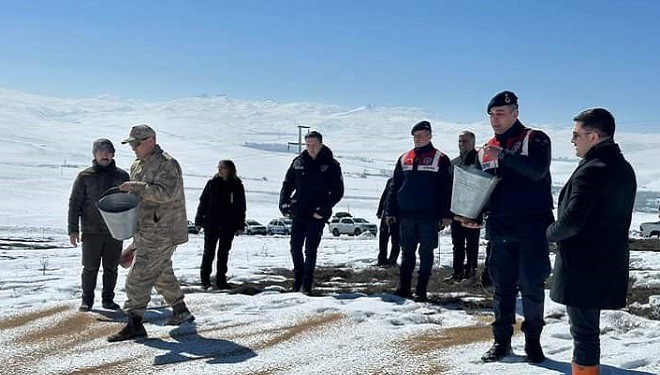 Özalp ilçesinde sokak ve yaban hayvanları için yem bırakıldı